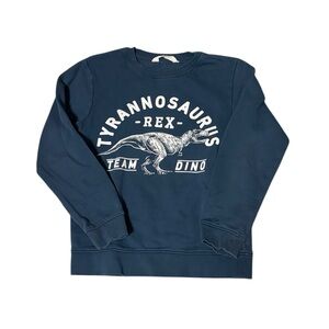 H&M Boys Crewneck Sweatshirt 8-10